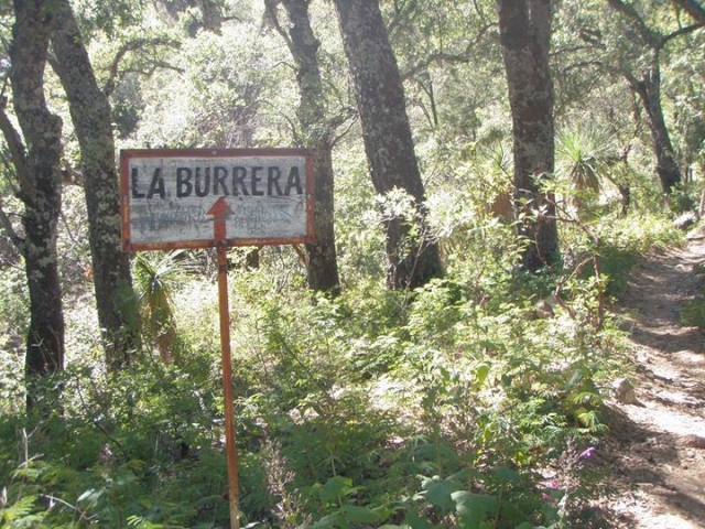 Rutas de senderismop